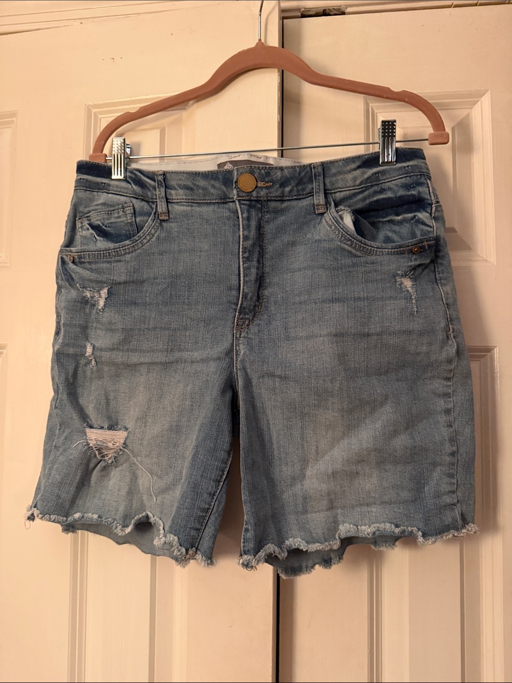 Democracy Light Blue Distressed Denim Shorts